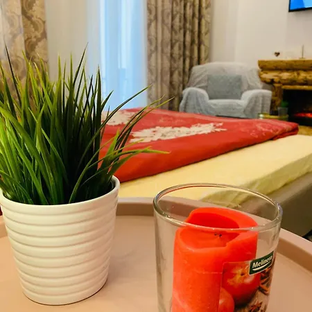 Apartment Inistebrasov26 *