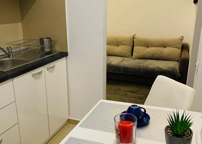 Apartment Inistebrasov26 *