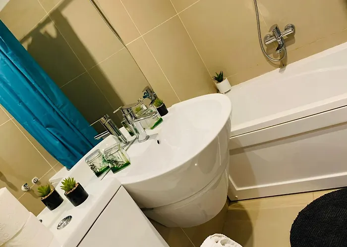 Inistebrasov26 * Brasov